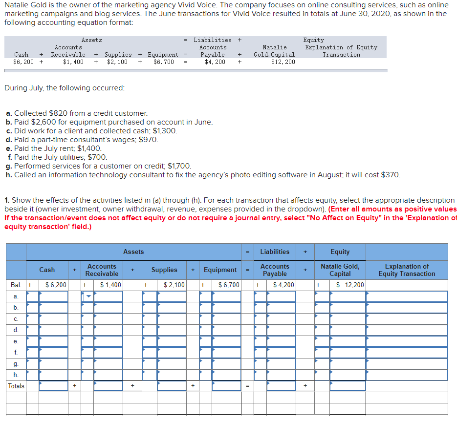 income statement for July 2020. VIVID VOICE Income Statement For Month Ended
