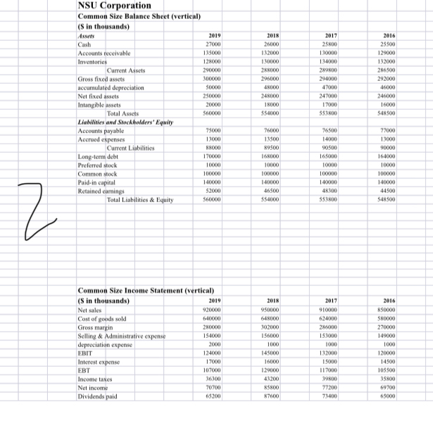 each yearMake a horizontal common size balance sheet and income statement for