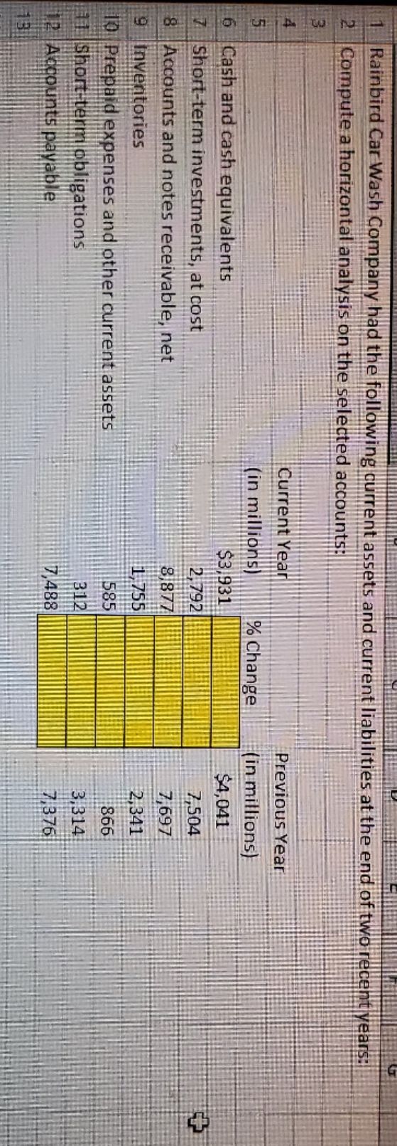 I need help with this excel spreadsheet Rainbird Car Wash Company had