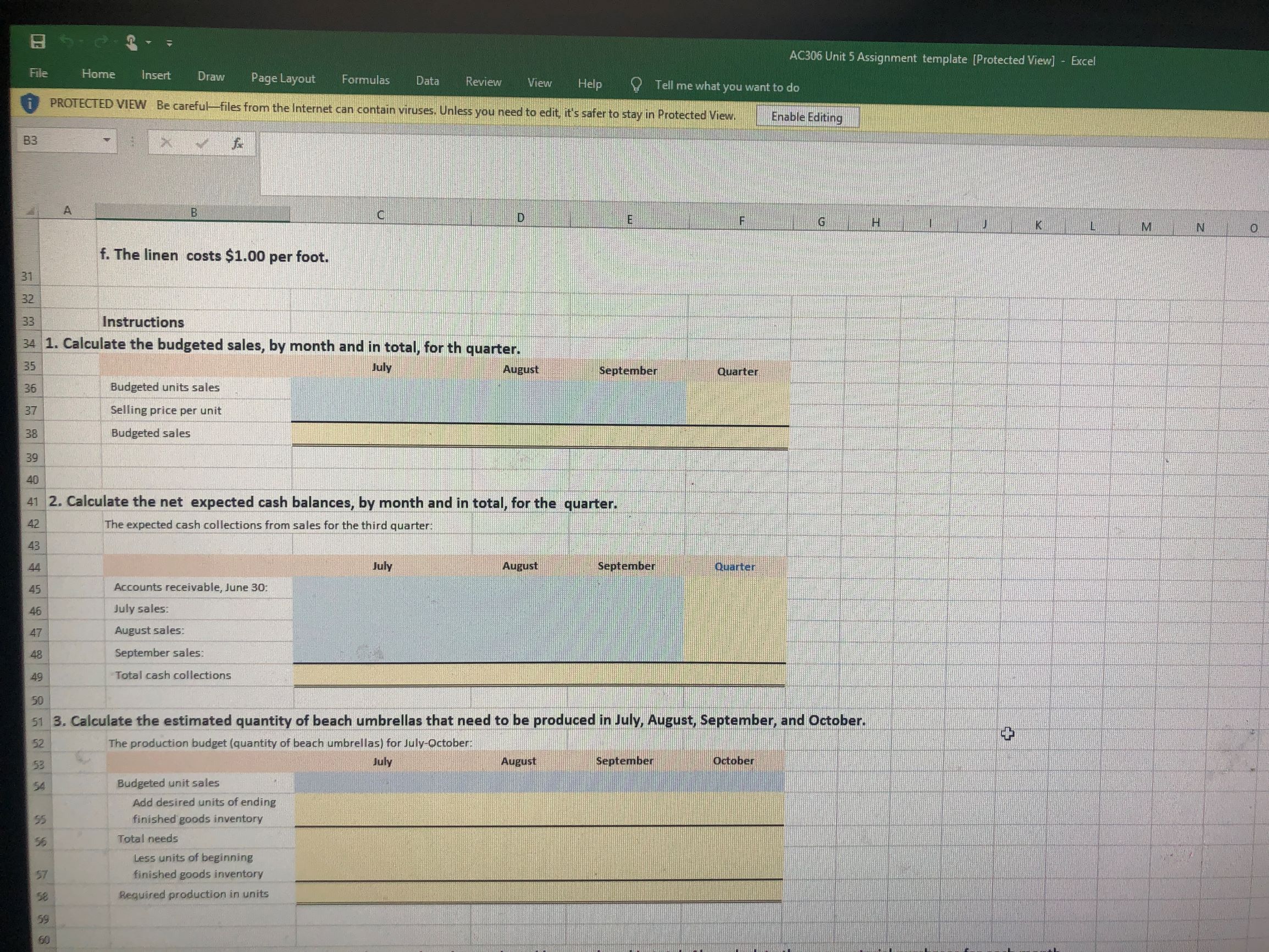  AC306 Unit 5 Assignment template [Protected View] - Excel File Home