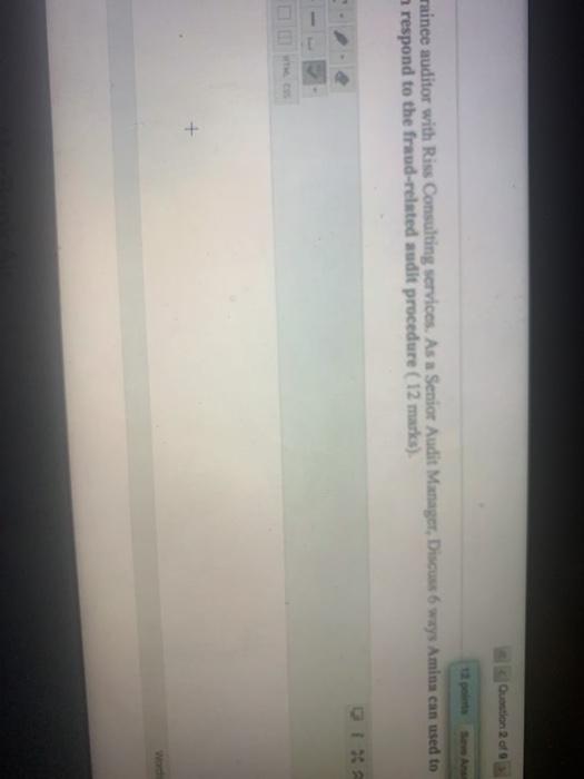 Riss Consulting services. As a Senior Audit Manager, Discus ways Amina can