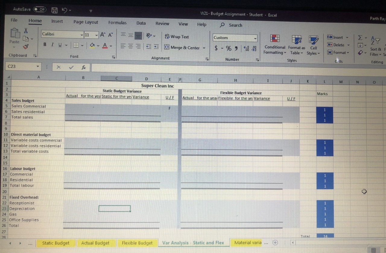 with data from the spreadsheet 'Input Database' and develop the static budget.
