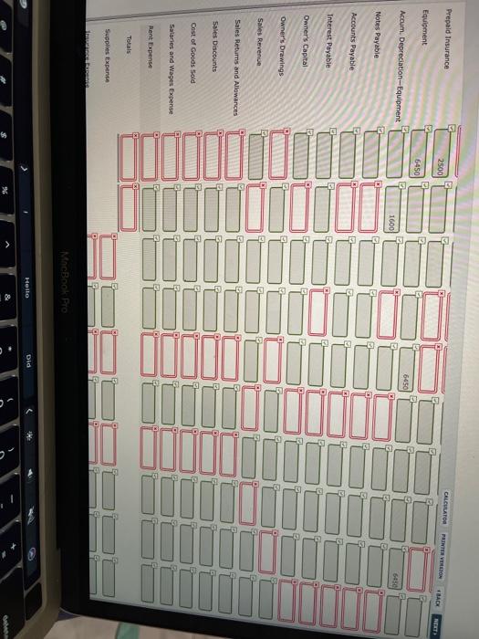 at January 31, 2020, in the trial balance columns of the worksheet.