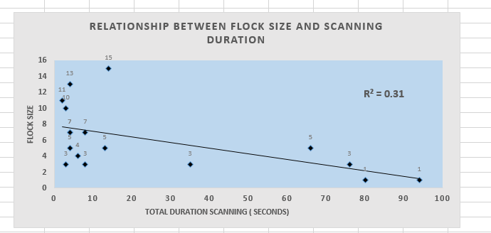time a goose spent scanning (use a stopwatch, e.g. on a phone