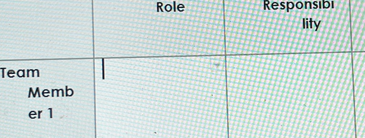 Create team performance plan Individual team requirements Team member 1Team member 2