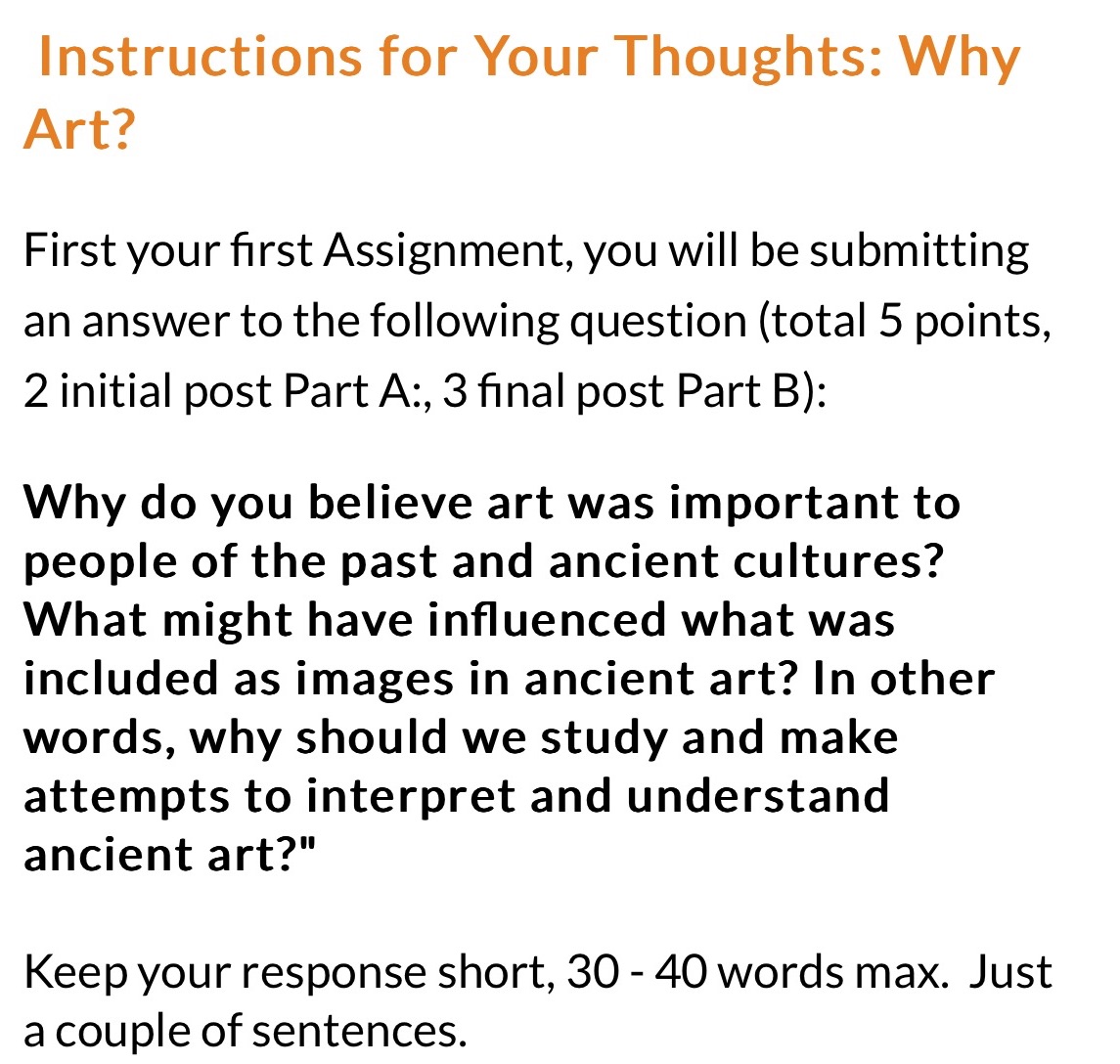  Instructions for Your Thoughts: Why Art? First your first Assignment, you