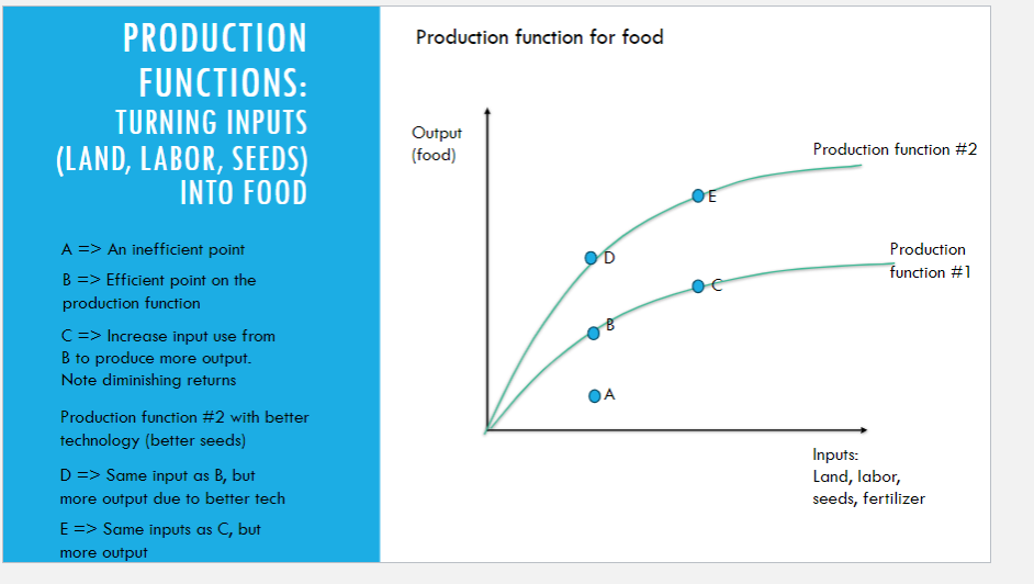  PRODUCTION Production function for food FUNCTIONS TURNING INPUTS Output (LAND, LABOR,
