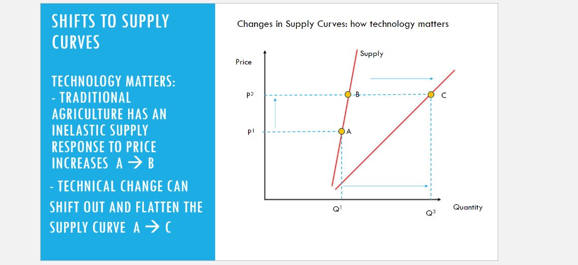 seeds) Inputs: D => Same input as B, but Land, labor, more