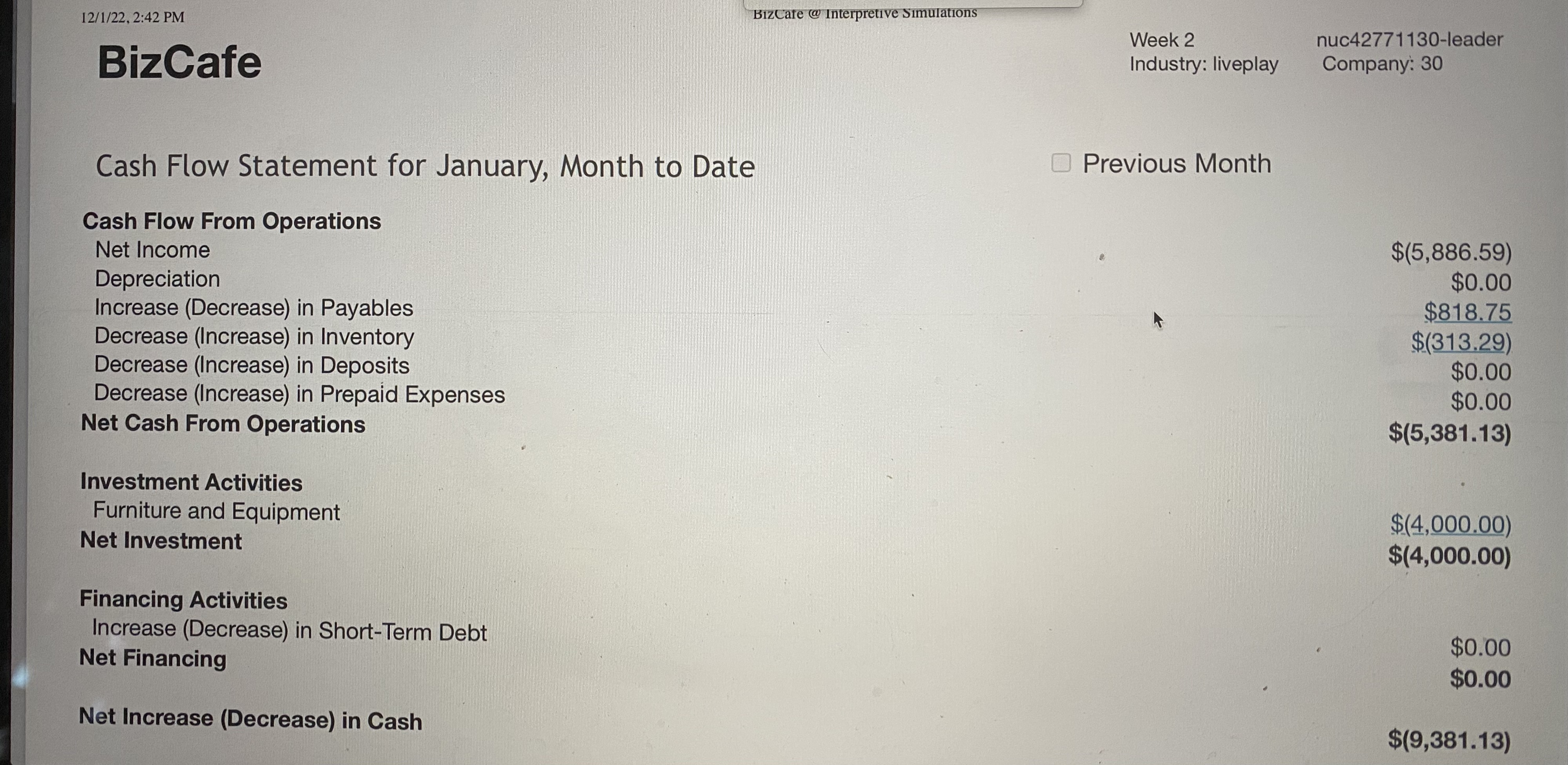 financial situation of your company, as well as a projected budget for