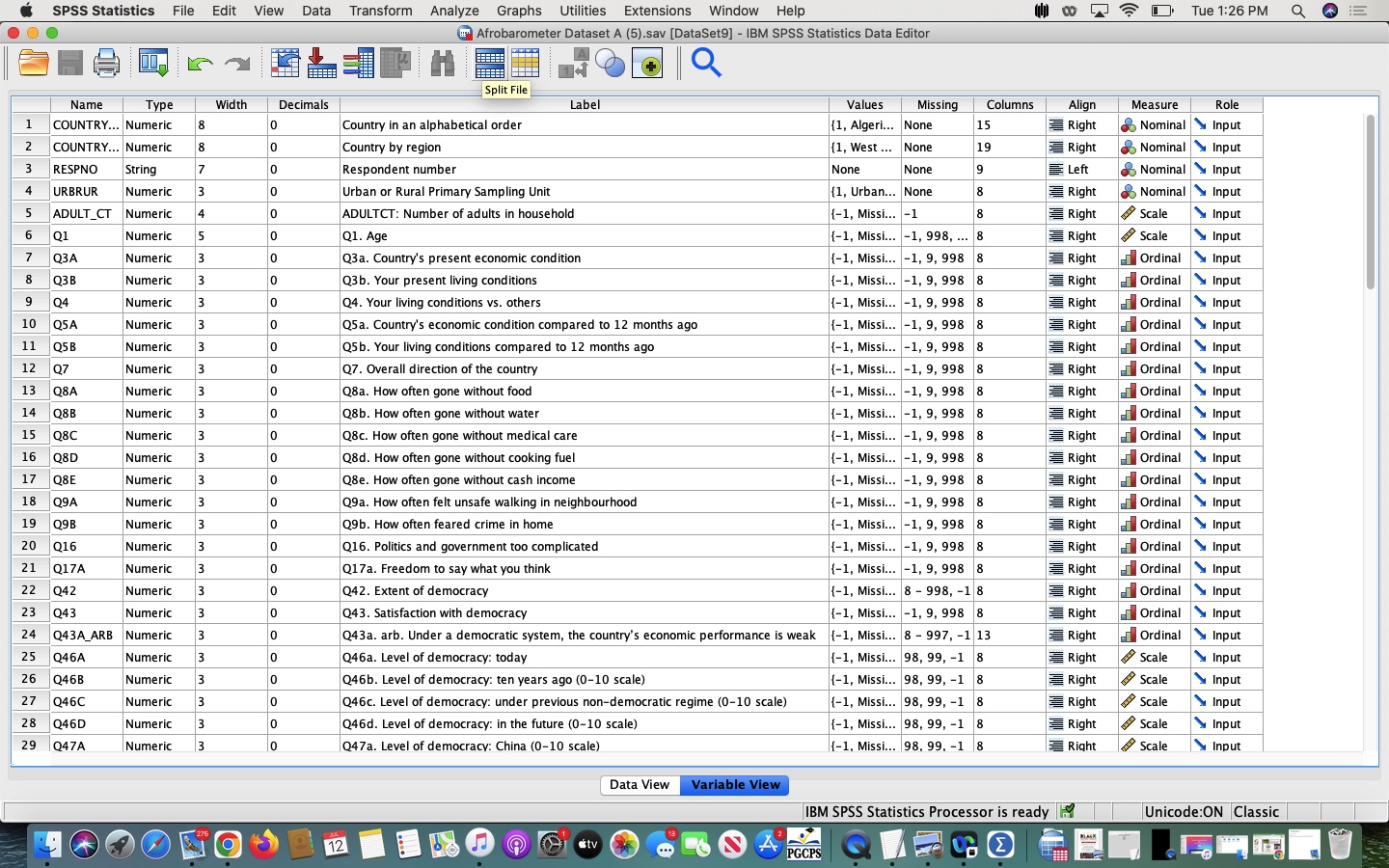  SPSS Statistics File Edit View Data Transform Analyze Graphs Utilities Extensions