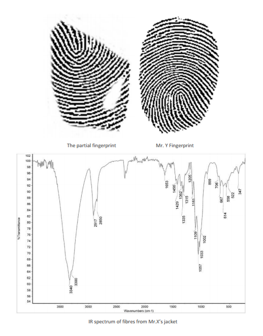 the options presented below and explain the reason(s) for your choice.A: Mr.