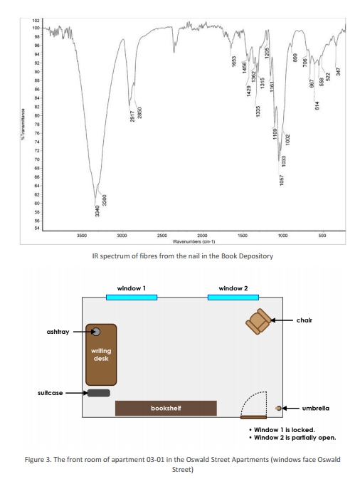 X is the gunmanB: Mr. Y is the gunmanC: Both Mr. X