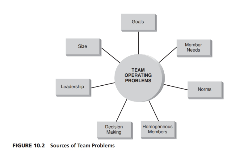 Size Leadership Goals Member Needs TEAM OPERATING PROBLEMS Norms Homogeneous Members FIGURE