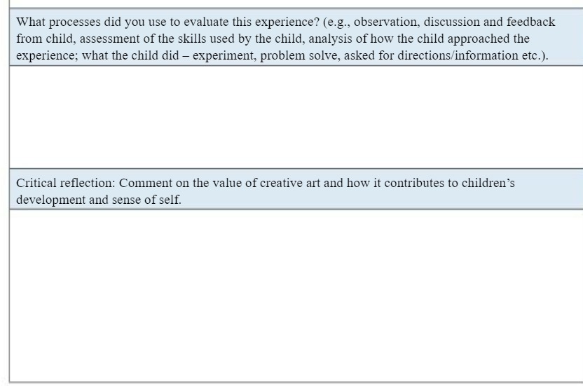 What processes did you use to evaluate this experience? (e.g., observation,