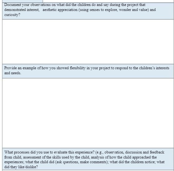  Document your observations on what did the children do and say