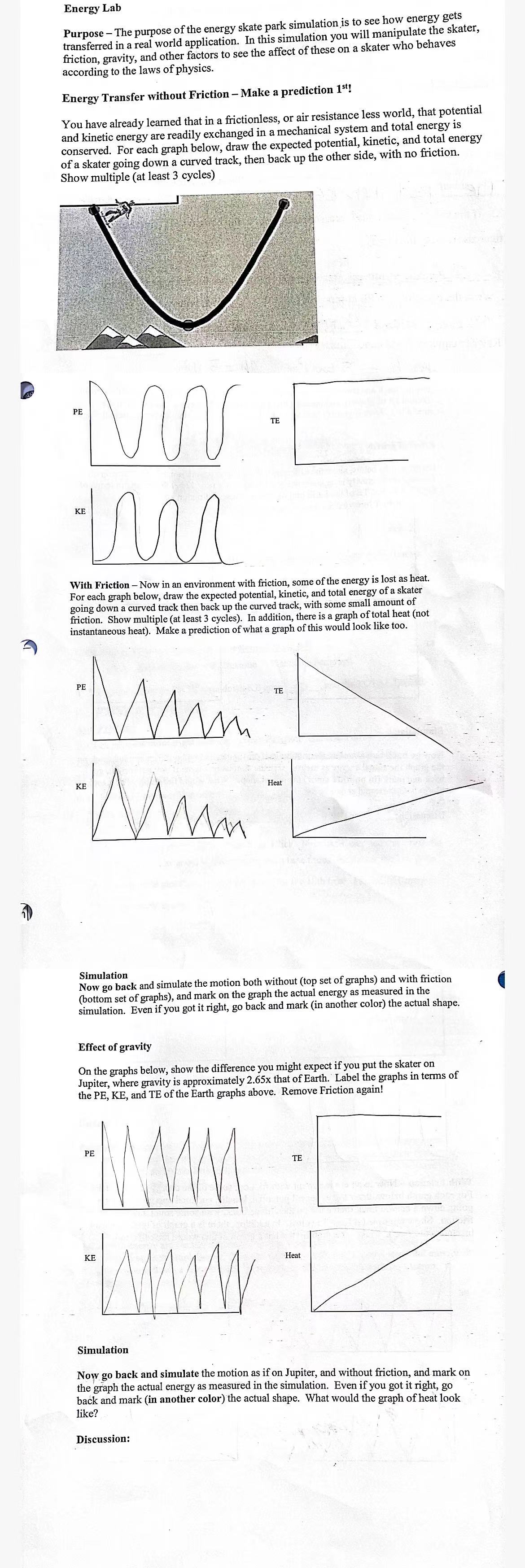 X Energy lab X Pher Energy Skate Park X W File:Planaria excretory