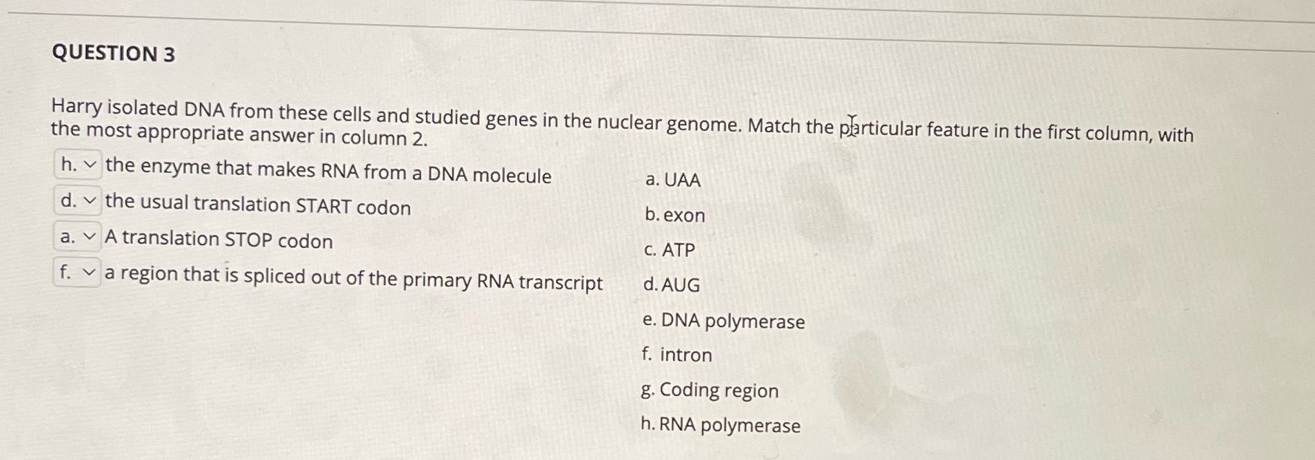QUESTION 3 Harry isolated DNA from these cells and studied genes