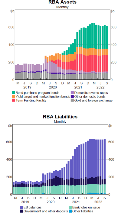 During the Covid-19 pandemic, the RBA implemented a quantitative easing policy by