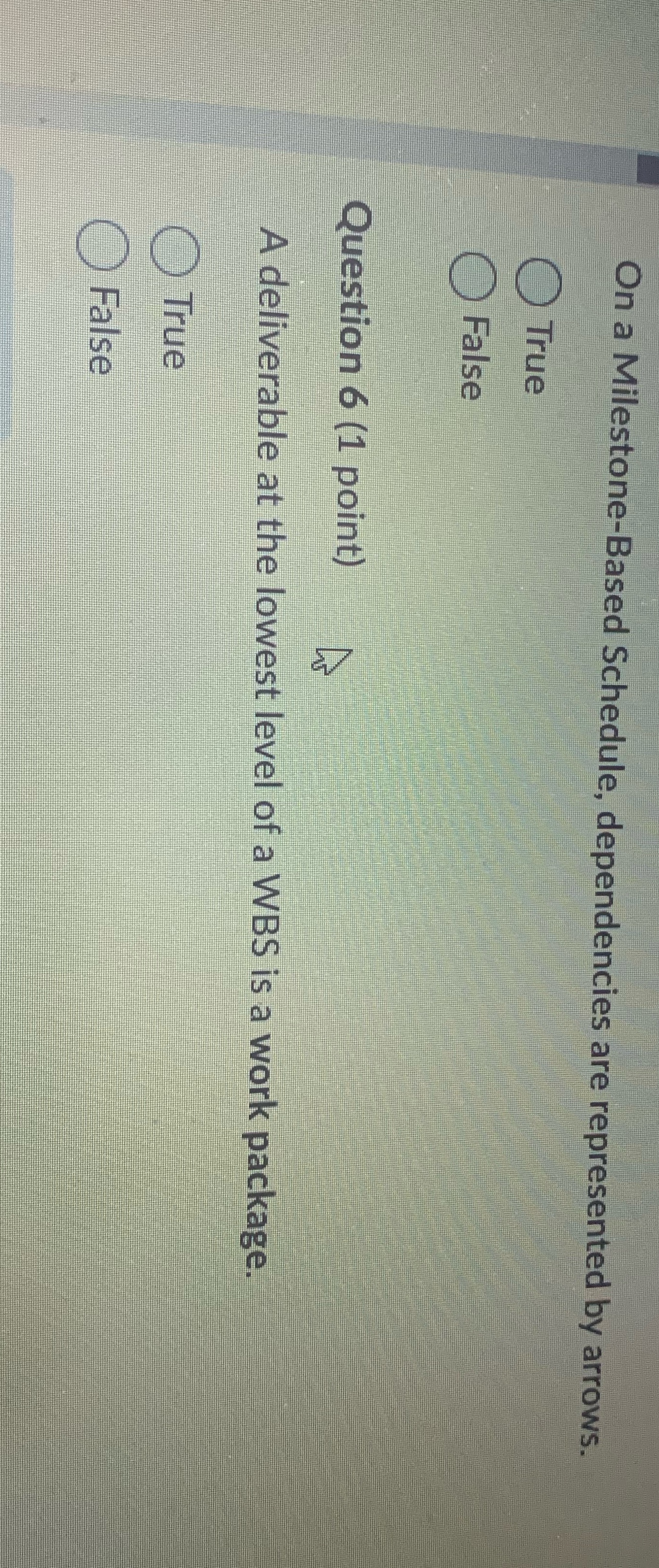On a Milestone-Based Schedule, dependencies are represented by arrows. O True