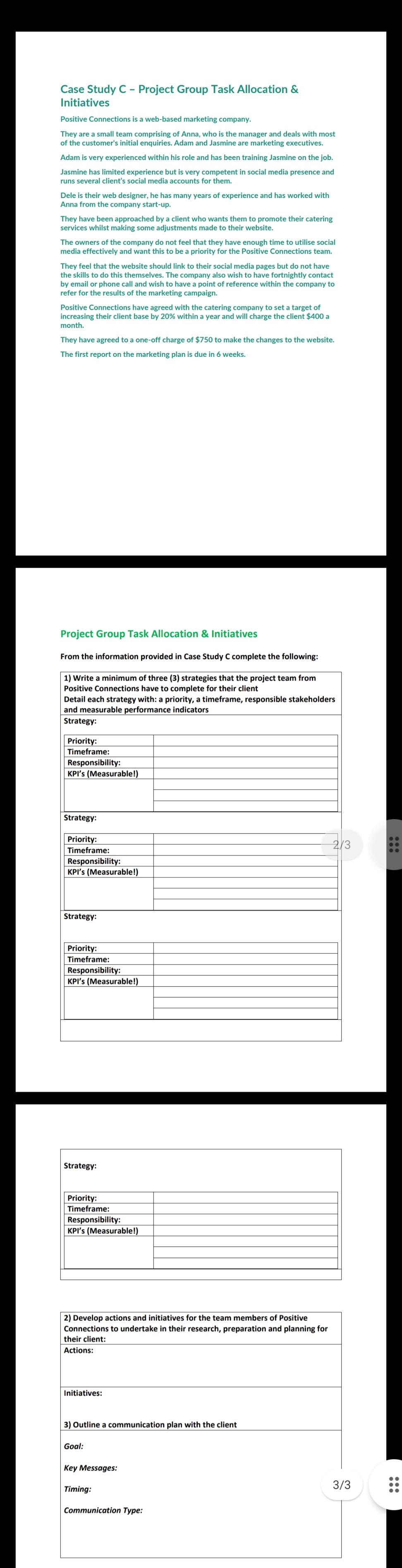 Case Study C - Project Group Task Allocation & Initiatives Positive