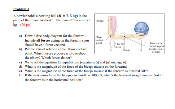 to solving a problem involving equilibrium are: 1. Draw a Free Body