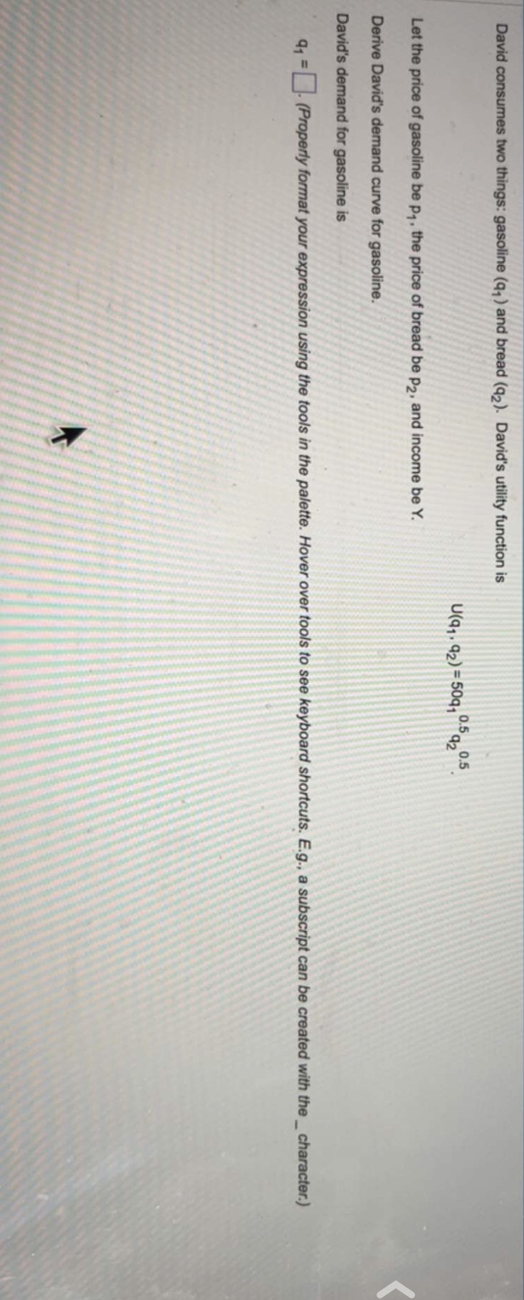 David consumes two things: gasoline (q, ) and bread (q2). David's