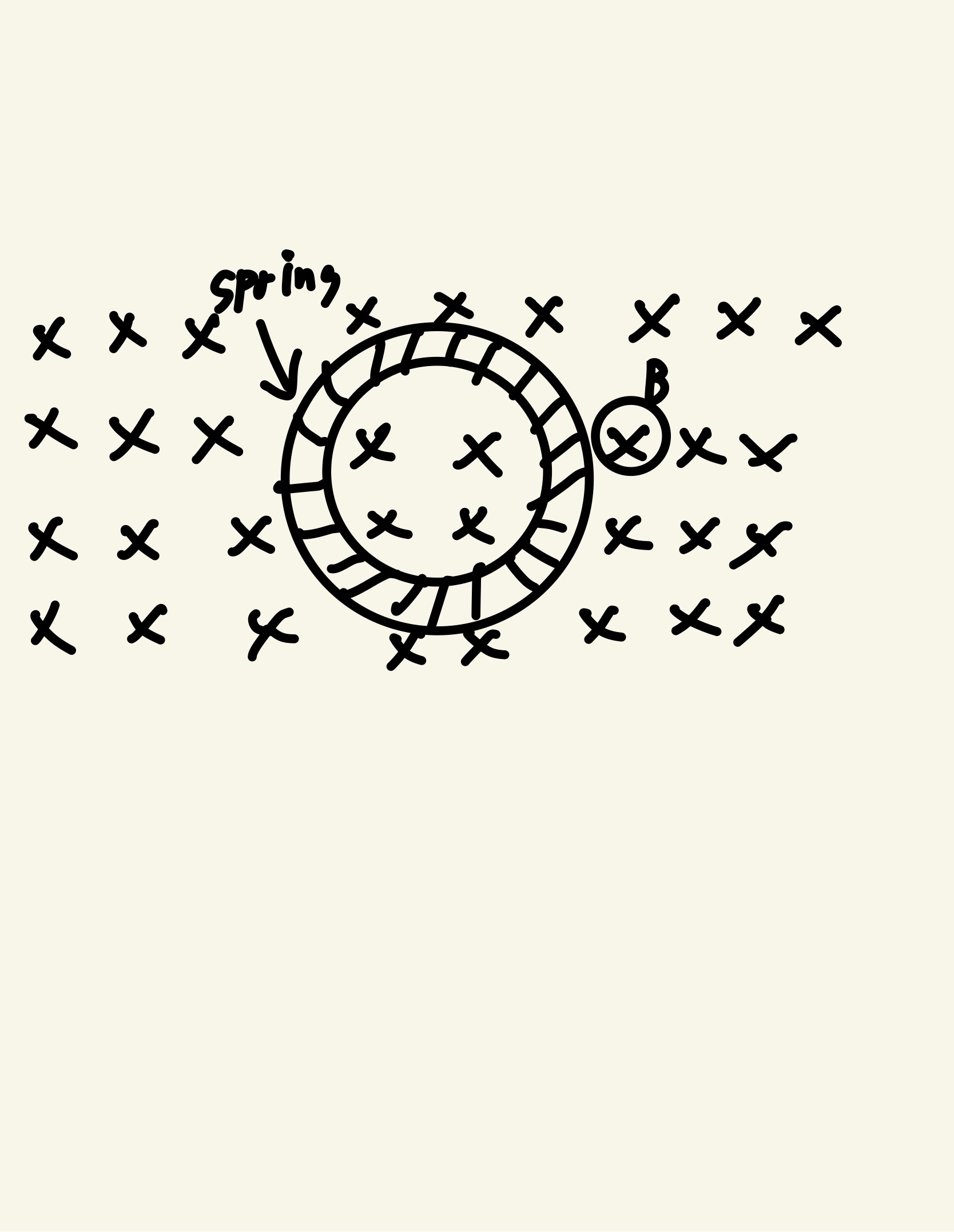 A metal spring has its ends attached so that it forms a