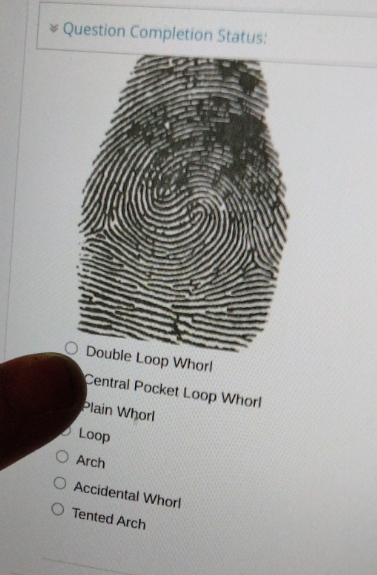 what is the pattern on this * Question Completion Status; O Double