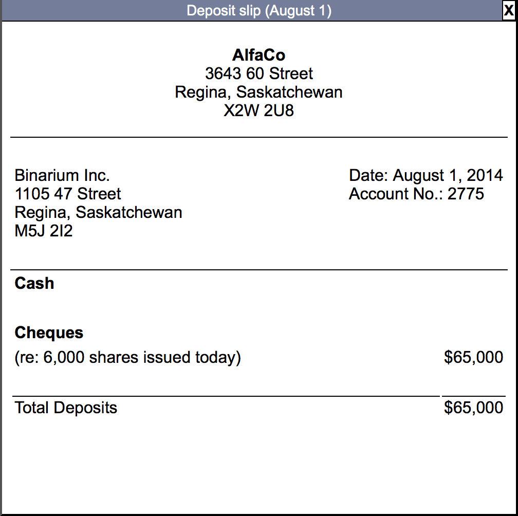 computer system installations, and custom program development. Binarium Inc. showed the following