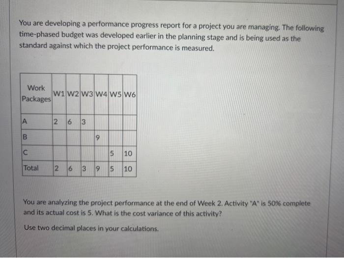  You are developing a performance progress report for a project you