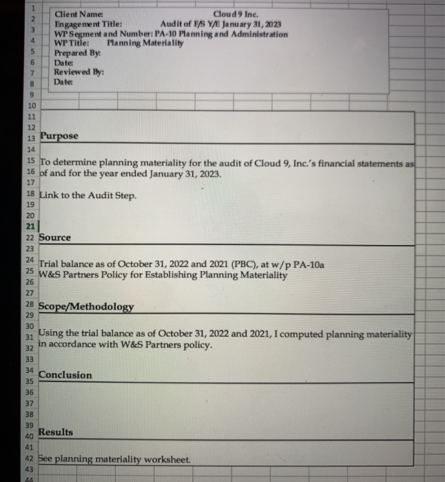 risk assessment phase for the new audit, the audit team needs to