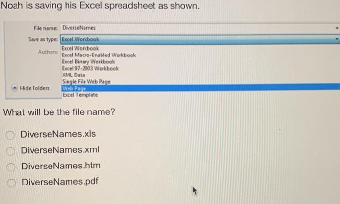  Noah is saving his Excel spreadsheet as shown. File name: DiverseNames