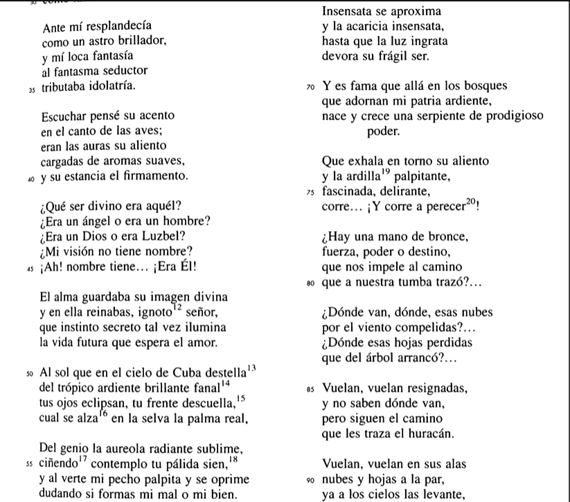 la aurora hechicera de mi juventud florida 5 en su sonnsa primera