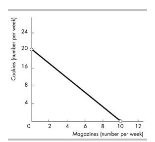 is the household's income expressed as a quantity of goods the household