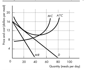 Chapter 101) What is the principal-agent problem as applied to corporations? What
