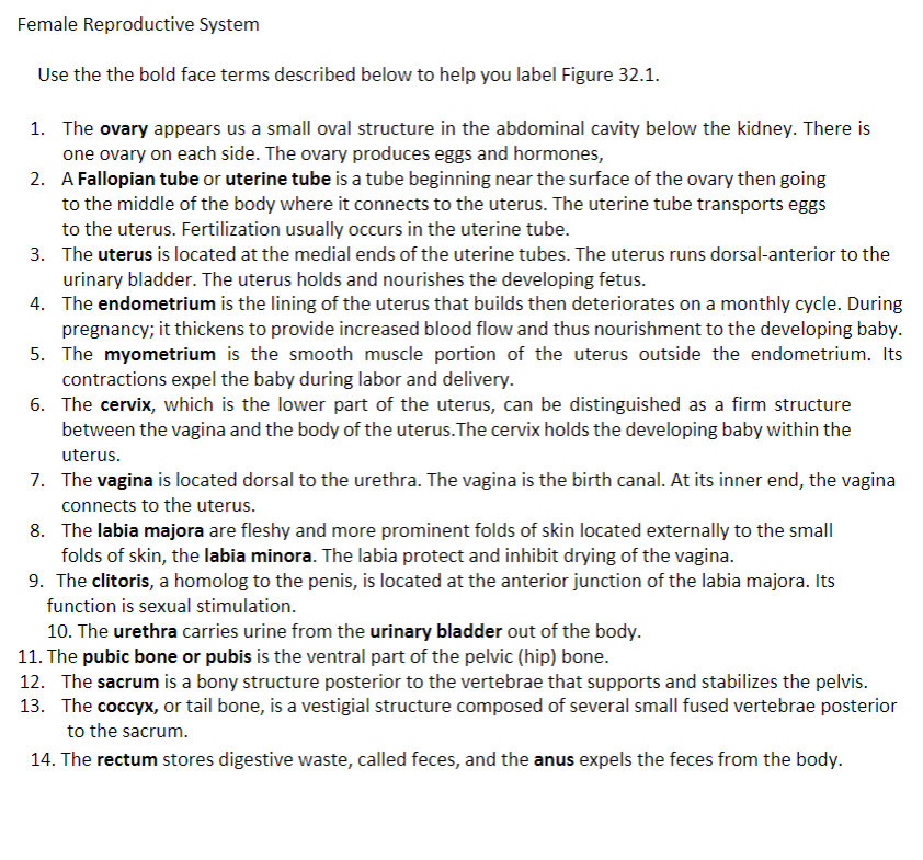 to help you label Figure 32.1. 1. The ovary appears us a