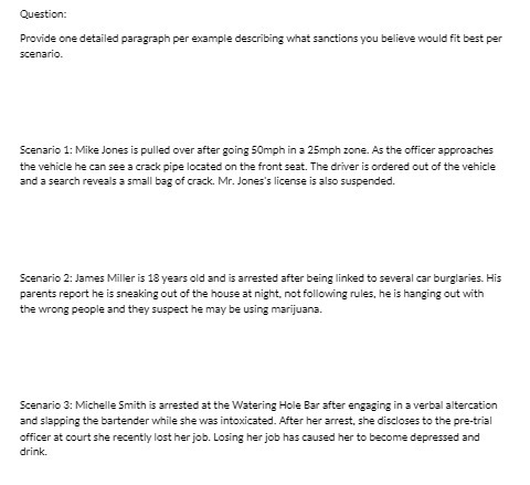  Question: Provide one detailed paragraph per example describing what sanctions you