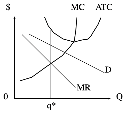 mini-bus. The business' revenue comes from 1000 people who paid $500 each