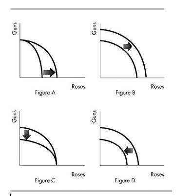 Make sure you show all your work for the problems requiring calculations.1.A.Define