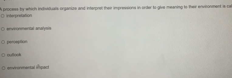 A process by which individuals organize and interpret their impressions in