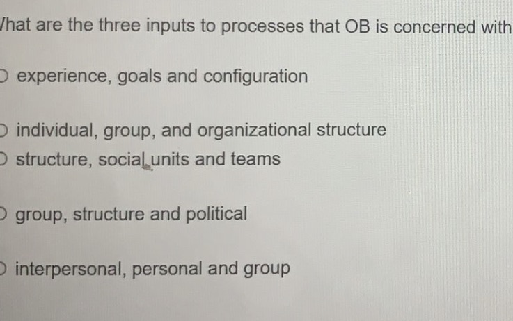  /hat are the three inputs to processes that OB is concerned