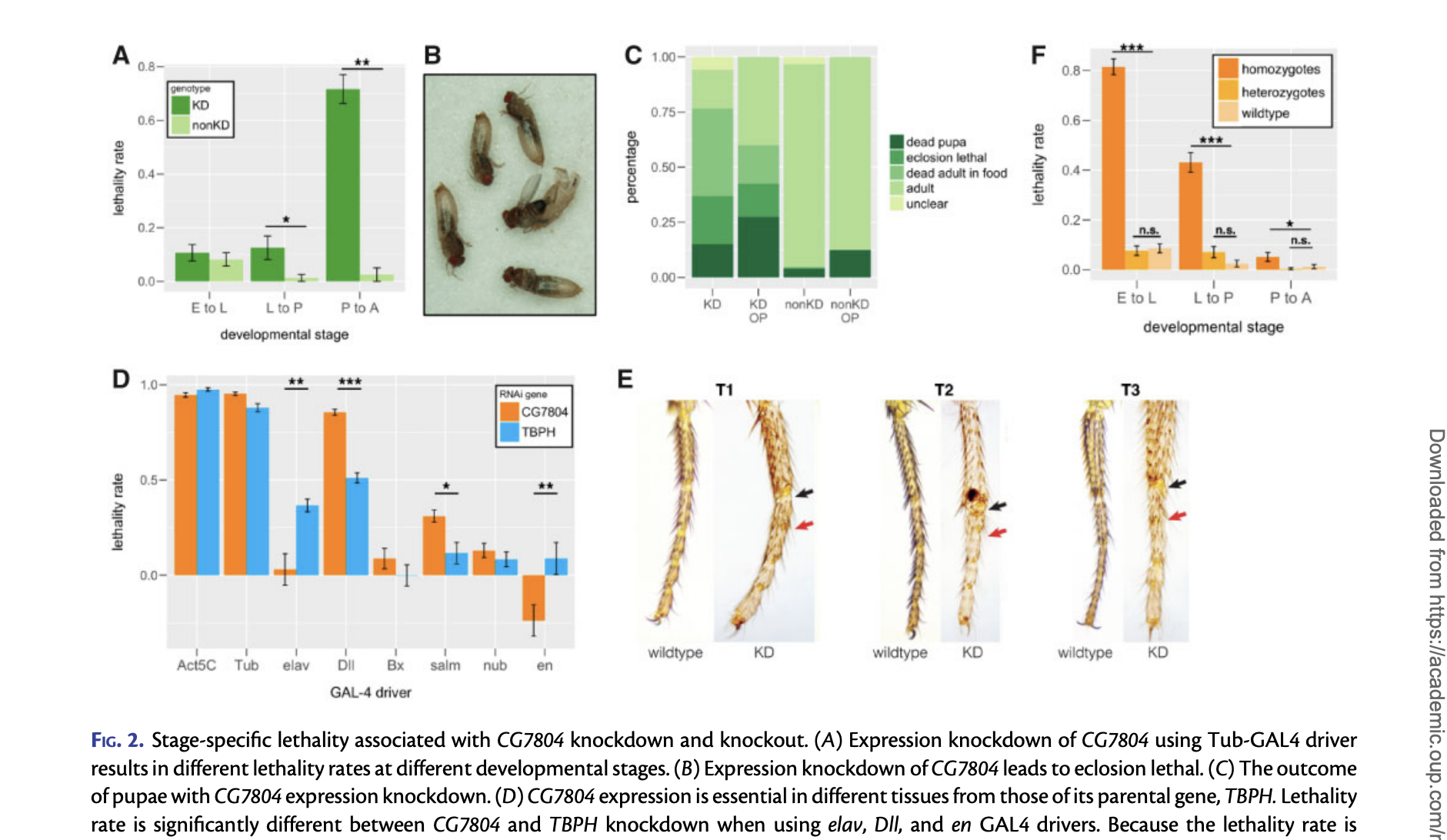 few hours, longer if you're inexperienced or if it's a new field;