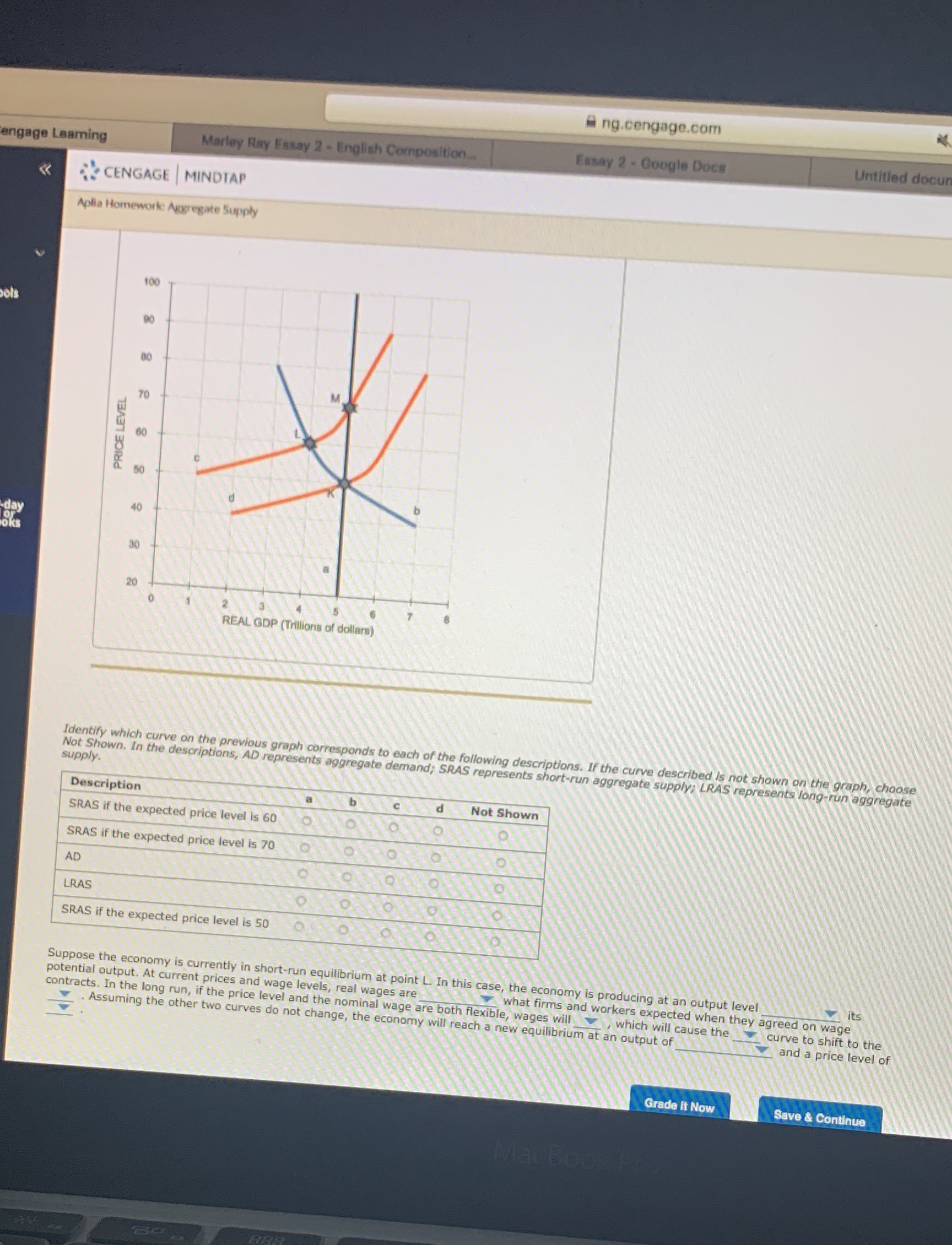 Please answer the whole thing ng.cengage.com engage Learning Marley Ray Essay 2
