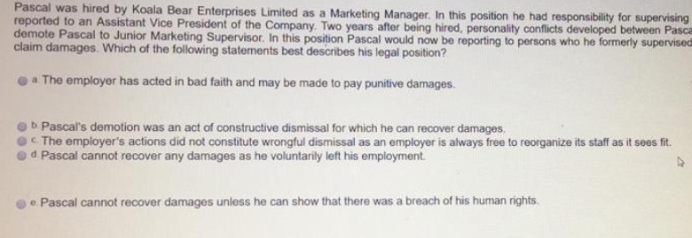  Pascal was hired by Koala Bear Enterprises Limited as a Marketing