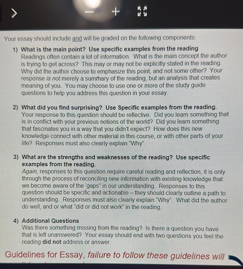  + Your essay should include and will be graded on the