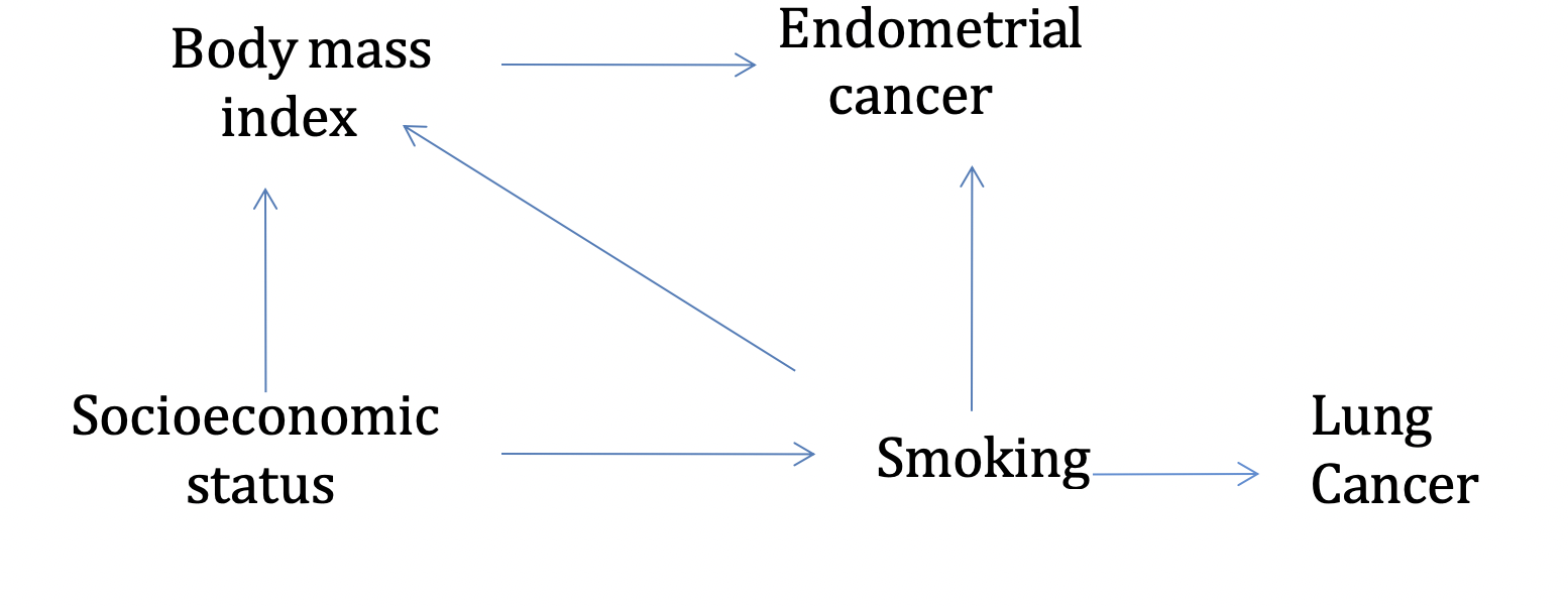 Body mass index Socioeconomic status Endometrial cancer Smoking Lung Cancer