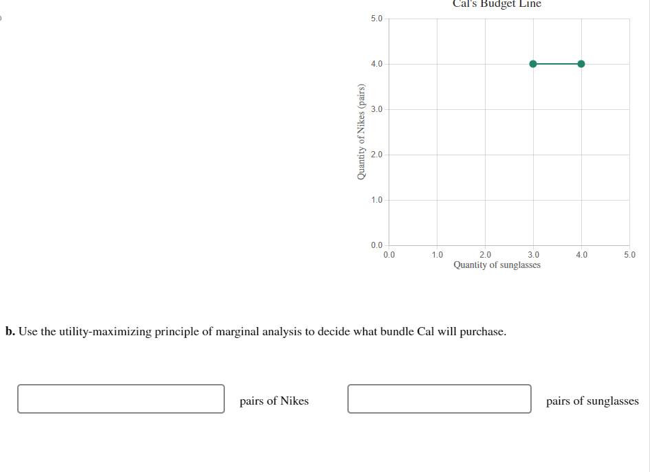 has $200 to spend on Nikes and sunglasses. Each pair of Nikes