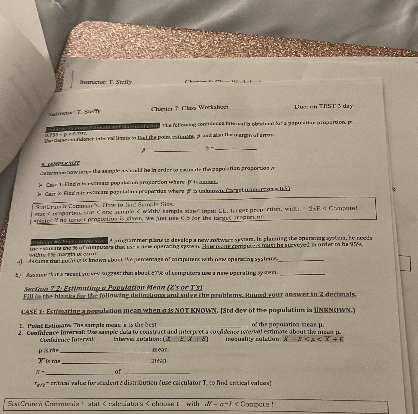 Instructor: T. Steffy Instructor. T. Steffy Chapter 7: Class Worksheet Due: