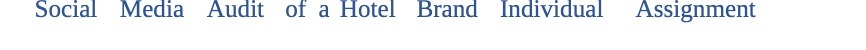 Social a Hotel Media Audit of Brand dividu Assignment