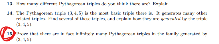  13. How many different Pythagorean triples do you think there are?